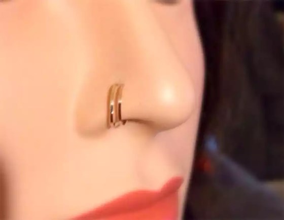 Double Nose Ring: Double Nose Ring